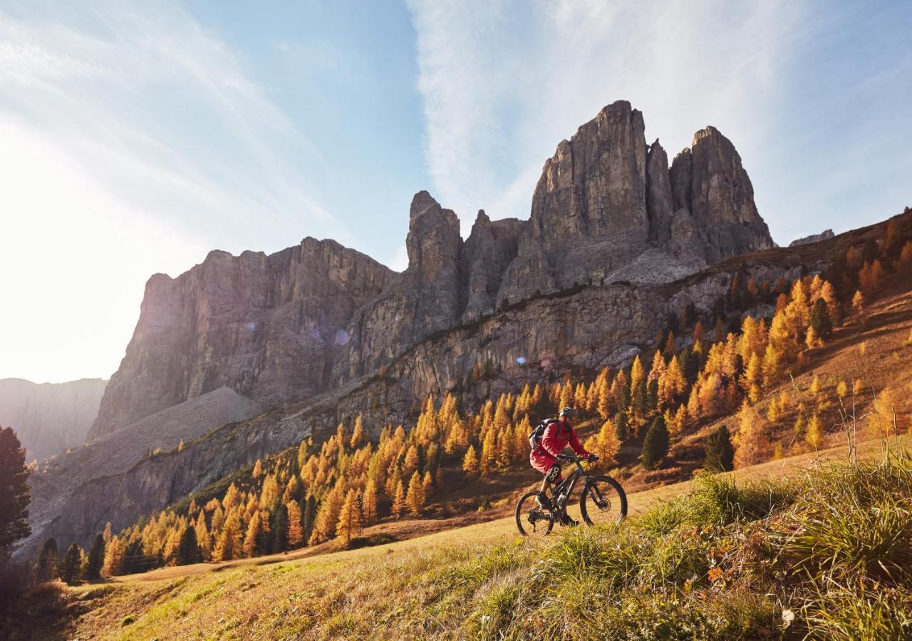 Chalet Elisabeth Dolomites Alpin & Charme Hotel Selva di Val Gardena Exterior foto