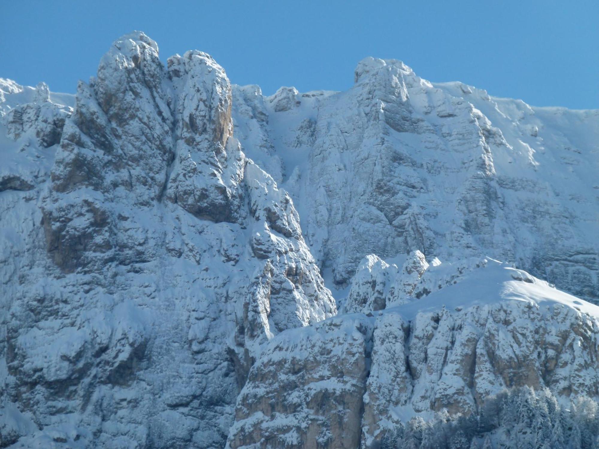 Chalet Elisabeth Dolomites Alpin & Charme Hotel Selva di Val Gardena Exterior foto